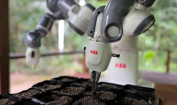 احیای جنگل های آمازون به ربات ها سپرده می شود