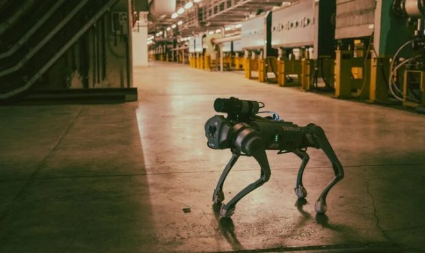 سگ رباتیک نگهبان سازمان اروپایی پژوهش‌های هسته‌ای شد